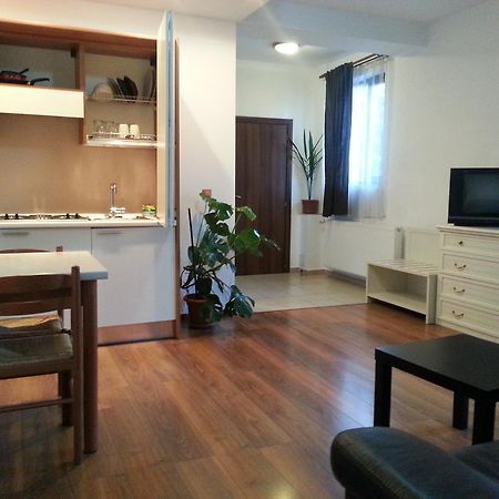 Banu Manta Apartments Bukarest Værelse billede